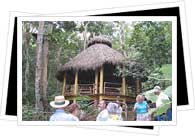 Canopy tour in Puerto Vallarta